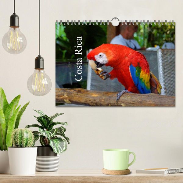 Produktbild: Costa Rica (Wandkalender 2026 DIN A4 quer), CALVENDO Monatskalender