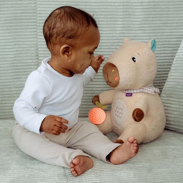 Produktbild: Kuscheltier Capybara XL