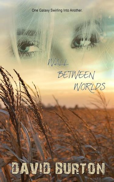 Produktbild: Wall Between Worlds