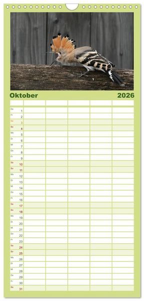 Produktbild: Familienplaner 2026 - Der Wiedehopf mit 5 Spalten (Wandkalender, 21 x 45 cm) CALVENDO