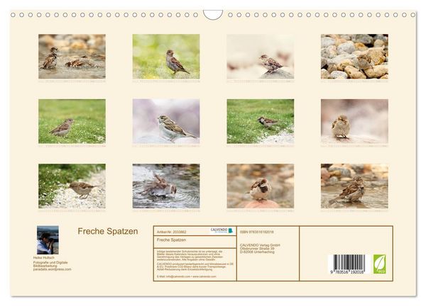 Produktbild: Freche Spatzen (Wandkalender 2026 DIN A3 quer), CALVENDO Monatskalender