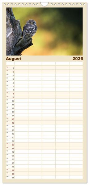 Produktbild: Familienplaner 2026 - Faszination Steinkauz mit 5 Spalten (Wandkalender, 21 x 45 cm) CALVENDO