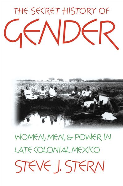 Produktbild: The Secret History of Gender