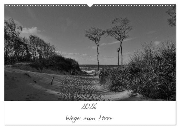 Produktbild: Wege zum Meer (Wandkalender 2026 DIN A2 quer), CALVENDO Monatskalender