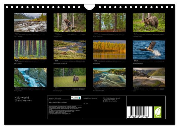 Produktbild: Naturwucht Skandinavien (Wandkalender 2026 DIN A4 quer), CALVENDO Monatskalender