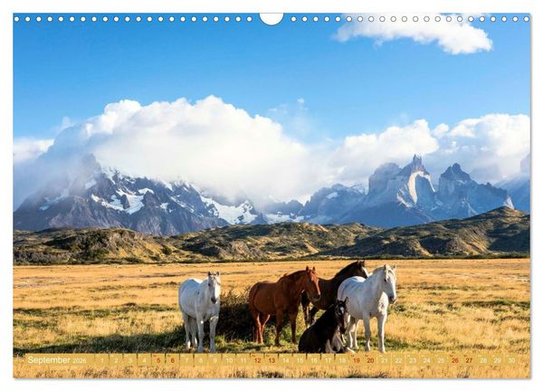 Produktbild: Patagonien - Naturwunder am Ende der Welt (Wandkalender 2026 DIN A3 quer), CALVENDO Monatskalender