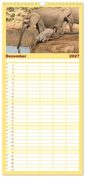 Produktbild: Familienplaner 2027 - Afrikas Tierwelt: Elefantenbabys mit 5 Spalten (Wandkalender, 21 x 45 cm) CALVENDO