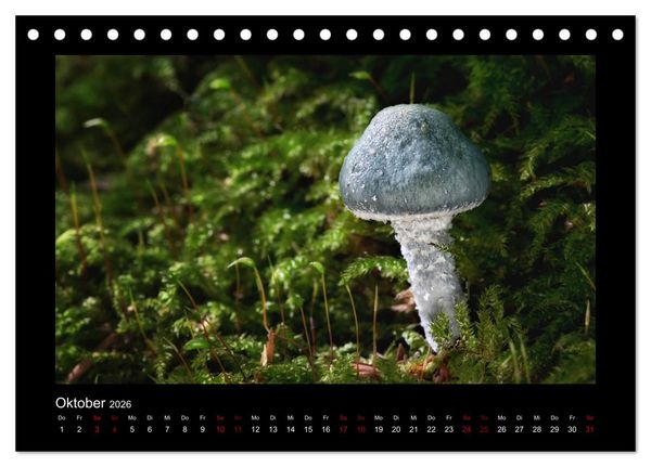 Produktbild: Pilzgalerie - Heimische Pilze aus der Region Rheinland-Pfalz (Tischkalender 2026 DIN A5 quer), CALVENDO Monatskalender