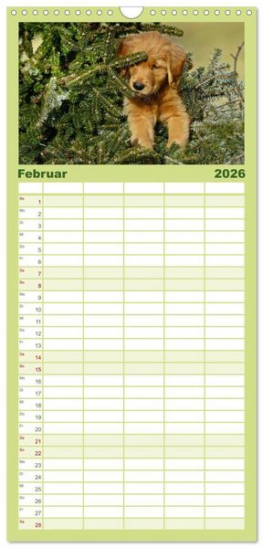 Produktbild: Familienplaner 2026 - Chesley Kleiner Hund grosse Abenteuer mit 5 Spalten (Wandkalender, 21 x 45 cm) CALVENDO