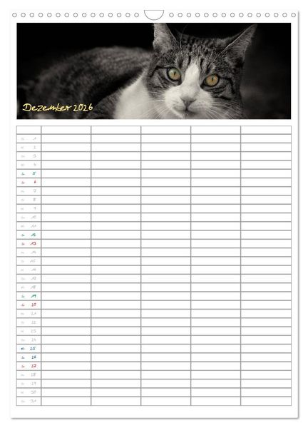 Produktbild: Miezekatzen Planungskalender (Wandkalender 2026 DIN A3 hoch), CALVENDO Monatskalender