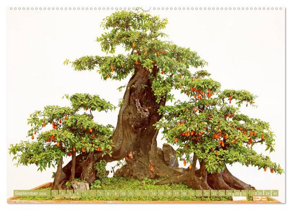 Produktbild: Gartenkunst aus Japan: Bonsai (hochwertiger Premium Wandkalender 2026 DIN A2 quer), Kunstdruck in Hochglanz