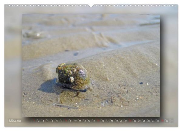 Produktbild: Baltrum - Ein Tag am Strand (hochwertiger Premium Wandkalender 2026 DIN A2 quer), Kunstdruck in Hochglanz
