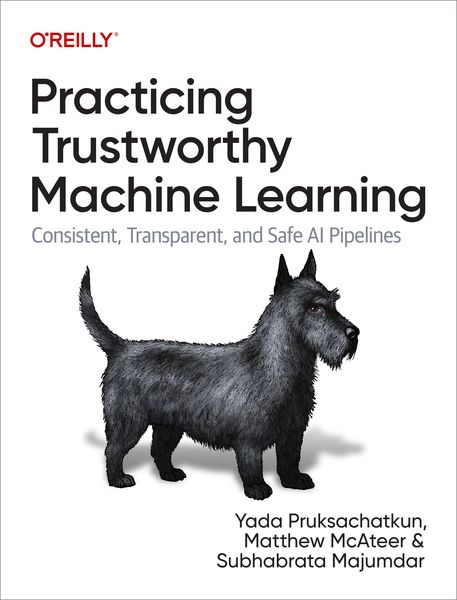 Produktbild: Practicing Trustworthy Machine Learning