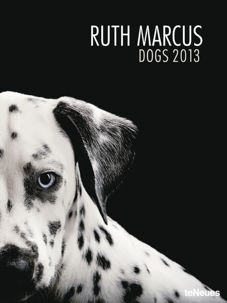 Produktbild: Dogs 2013 - Ruth Marcus