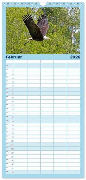 Produktbild: Familienplaner 2026 - V&ouml;gel im Flug - Akrobaten der L&uuml;fte mit 5 Spalten (Wandkalender, 21 x 45 cm) CALVENDO