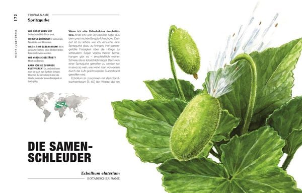Produktbild: Kuriose Pflanzen