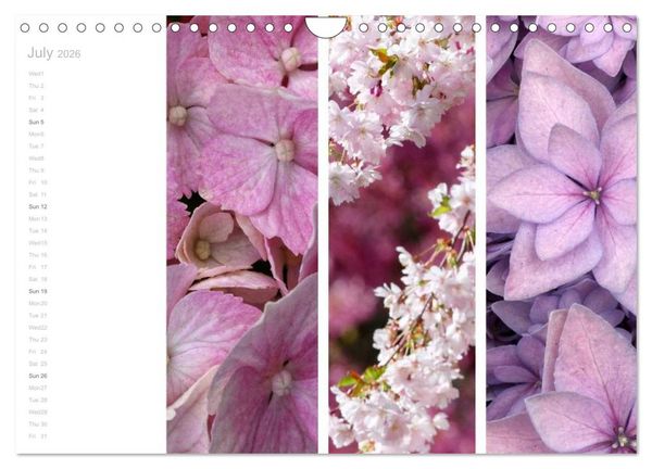 Produktbild: Natural Trios (Wall Calendar 2026 DIN A4 landscape), CALVENDO 12 Month Wall Calendar