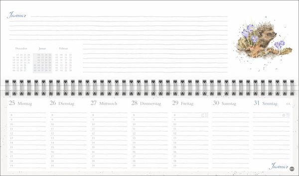 Produktbild: Hannah Dale : Wochenquerplaner 2027