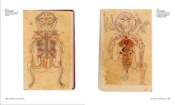 Produktbild: Die Geschichte der Anatomie