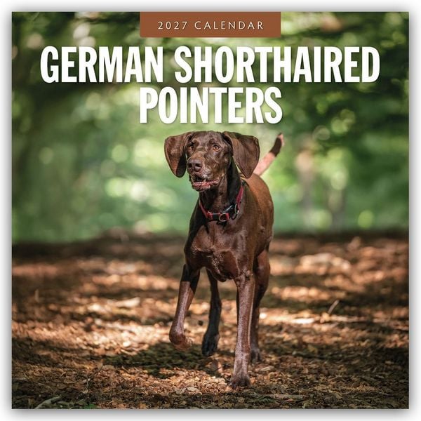 Produktbild: German Shorthaired Pointers &ndash; Deutscher Kurzhaar &ndash; Deutscher Kurzhaariger Vorstehhund 2027 &ndash; 16-Monatskalender