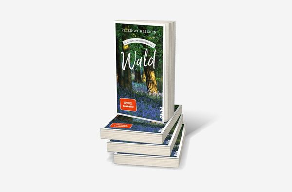 Produktbild: Gebrauchsanweisung f&uuml;r den Wald