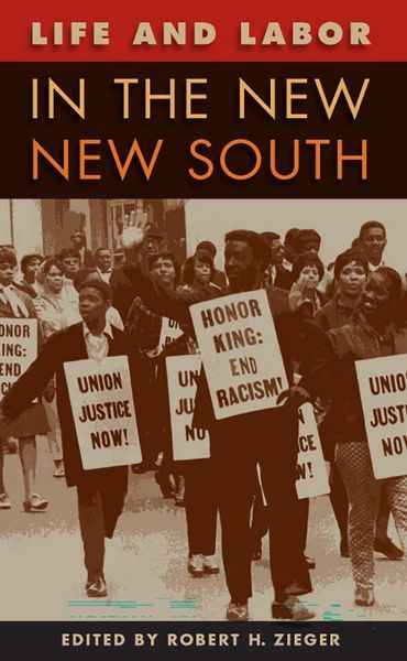Produktbild: Life and Labor in the New New South