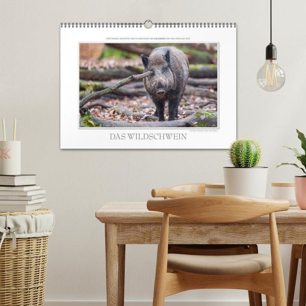 Produktbild: Emotionale Momente: Das Wildschwein. (Wandkalender 2026 DIN A3 quer), CALVENDO Monatskalender