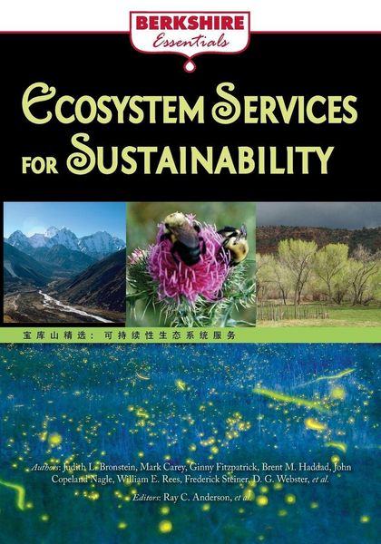 Produktbild: Ecosystem Services for Sustainability