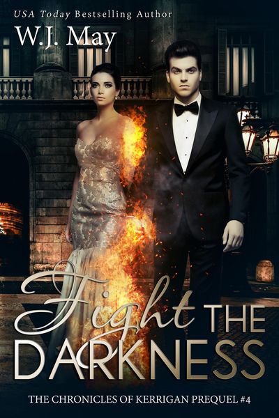 Produktbild: Fight the Darkness
