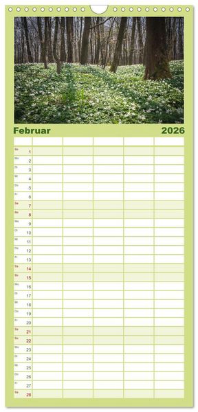 Produktbild: Familienplaner 2026 - Magischer Harzwald mit 5 Spalten (Wandkalender, 21 x 45 cm) CALVENDO