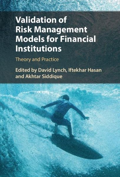 Produktbild: Validation of Risk Management Models for Financial Institutions