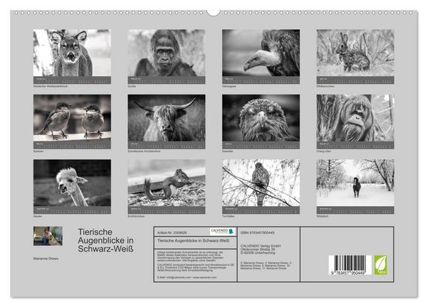 Produktbild: Tierische Augenblicke in Schwarz-Wei&szlig; (hochwertiger Premium Wandkalender 2026 DIN A2 quer), Kunstdruck in Hochglanz