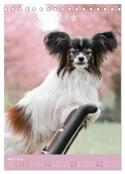 Produktbild: Flora Canidae - der Hunde-Bl&uuml;hpflanzen-Kalender (Tischkalender 2026 DIN A5 hoch), CALVENDO Monatskalender