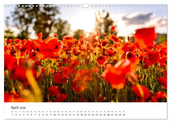 Produktbild: Spanien - ein Land zum Verlieben. (Wandkalender 2026 DIN A3 quer), CALVENDO Monatskalender
