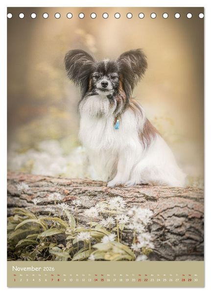 Produktbild: Flora Canidae - der Hunde-Bl&uuml;hpflanzen-Kalender (Tischkalender 2026 DIN A5 hoch), CALVENDO Monatskalender