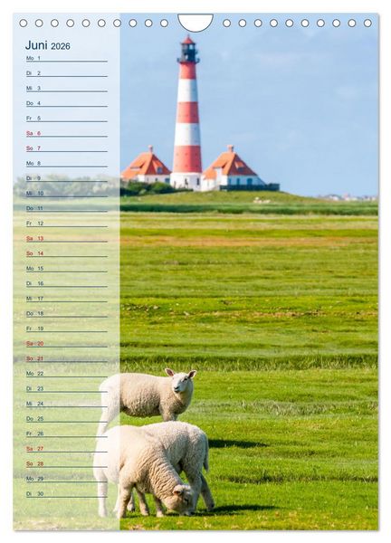 Produktbild: Maritim - Geburtstagskalender (Wandkalender 2026 DIN A4 hoch), CALVENDO Monatskalender