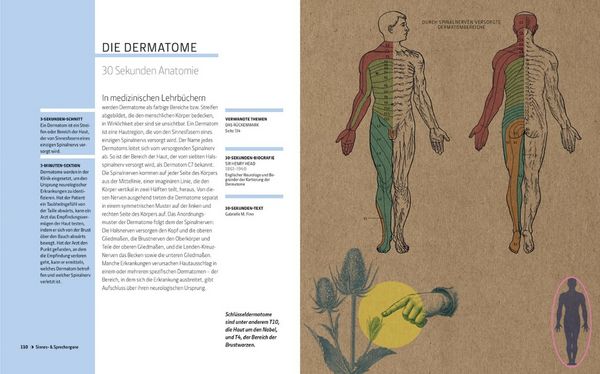 Produktbild: Anatomie und Medizin in 30 Sekunden