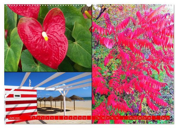Produktbild: Die Faszination der Farben (hochwertiger Premium Wandkalender 2026 DIN A2 quer), Kunstdruck in Hochglanz