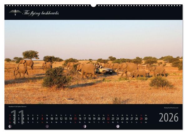 Produktbild: Botswana Blickwinkel 2026 (Wandkalender 2026 DIN A2 quer), CALVENDO Monatskalender