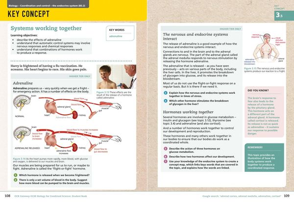 Produktbild: Collins GCSE Science - OCR Gateway GCSE (9-1) Biology for Combined Science