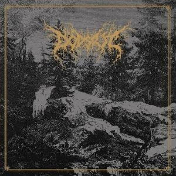 Produktbild: Mortal Coil