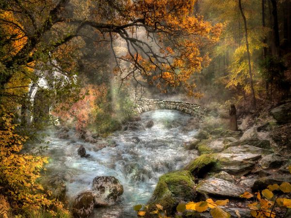 Produktbild: CALVENDO Puzzle Das Herz des Waldes | 1000 Teile Lege-Gr&ouml;&szlig;e 64x48cm Foto-Puzzle f&uuml;r gl&uuml;ckliche Stunden