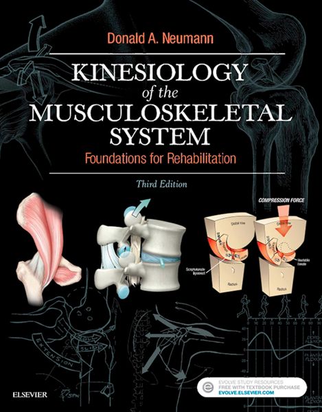 Produktbild: Kinesiology of the Musculoskeletal System - E-Book