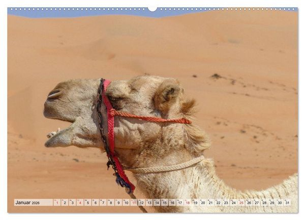 Produktbild: Oman - Zauberhafte Landschaften (Wandkalender 2026 DIN A2 quer), CALVENDO Monatskalender
