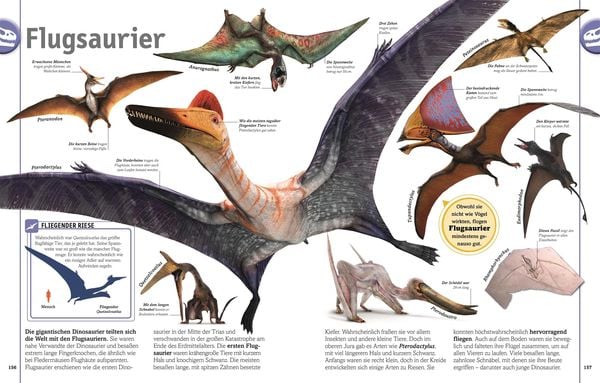 Produktbild: Unsere Welt in 1000 Bildern. Dinosaurier