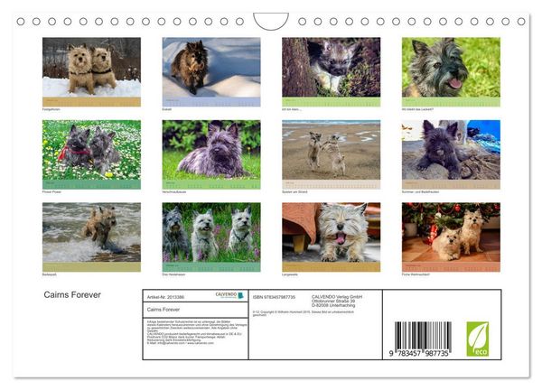 Produktbild: Cairns Forever (Wandkalender 2026 DIN A4 quer), CALVENDO Monatskalender