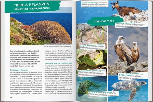 Produktbild: Marco Polo Outdoor Guide Reisef&uuml;hrer Kreta