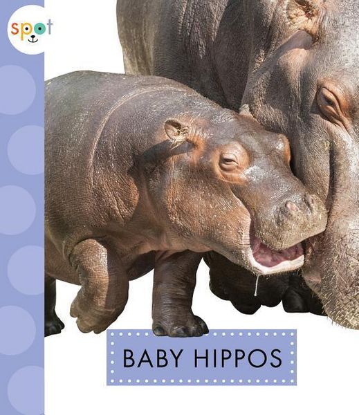 Produktbild: Baby Hippos