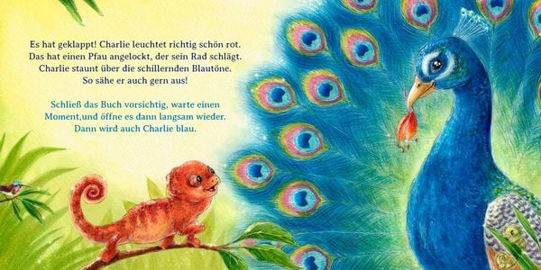 Produktbild: Schau mal, alle meine Farben