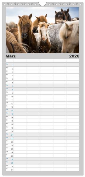 Produktbild: Familienplaner 2026 - Islandpferde Kalender - Pferde von der Insel aus Feuer und Eis mit 5 Spalten (Wandkalender, 21 x 45 cm) CALVENDO